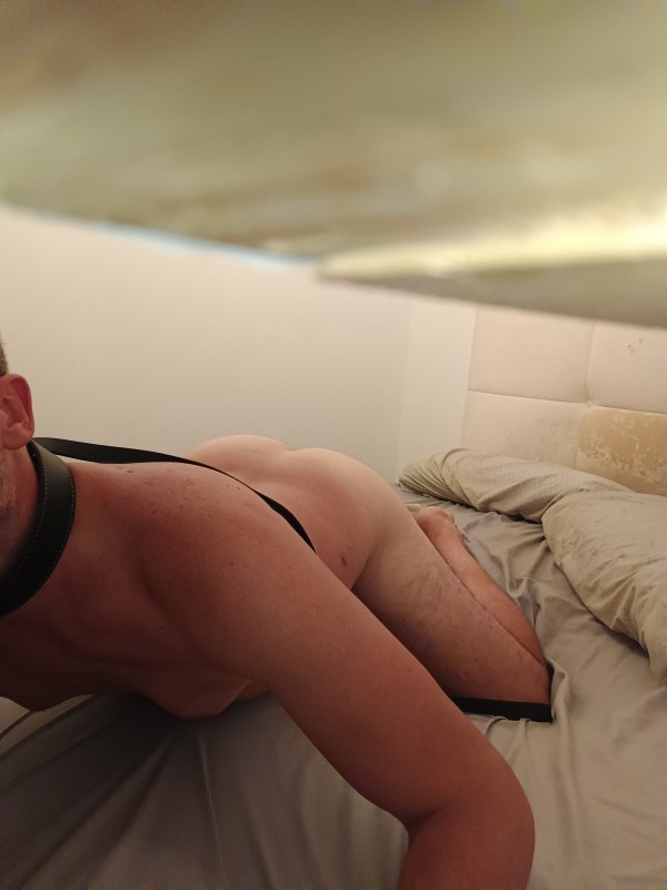 Xtudr - Amos XL veraneando en Málaga. Feria de Málaga  Hola, busco amo 