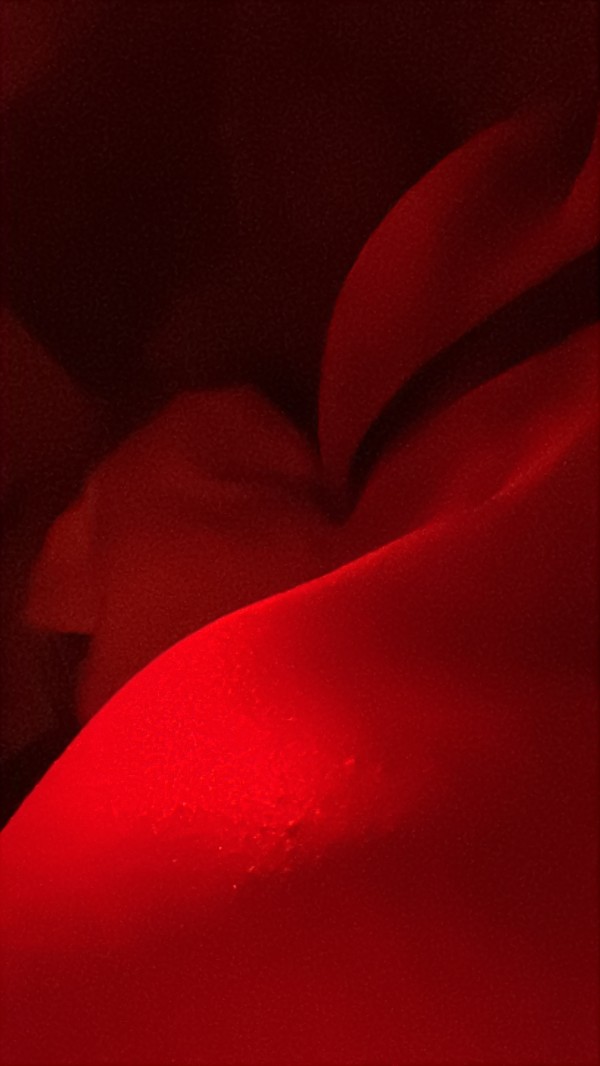 Xtudr - Esclavos y Sumisos CDMX Buenas noches pasivo sumiso de 19 años buscando activos dominantes del estado de méxico o CDMX. 
Manden mensaje yo super dispuesto