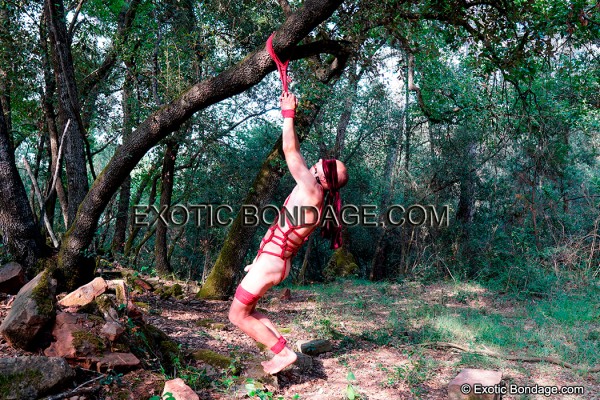 Xtudr - Control y disciplina paternal  yo estoy disponible para propuestas que sean interesantes y excitantes