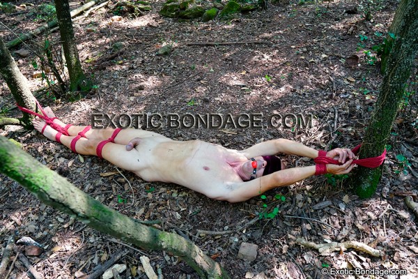 Xtudr - ADICTOSCIBERPERVERTIDOS yo estoy disponible para propuestas que sean interesantes y excitantes