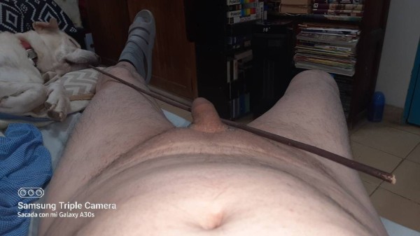 Xtudr - FOTO-POLLA Mi pollita está muy triste...