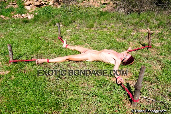 Xtudr - indefensos en cruising yo soy de Barcelona. Estoy abirto a propuestas excitantes