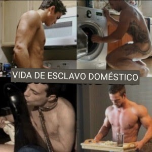 Xtudr - esclavos domésticos  EN ESPAÑA 🇪🇸 ,

ASTURIAS QUIERO esclavos, domésticos, putitos, ... SÓLO PARA SERVICIO REAL, EN PROPIEDAD Y QUE LO TENGAN CLARO.

EN PROPIEDAD ! !