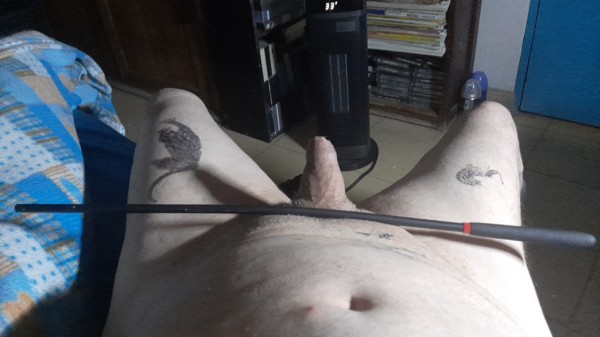 Xtudr - Castigos para el Perro  