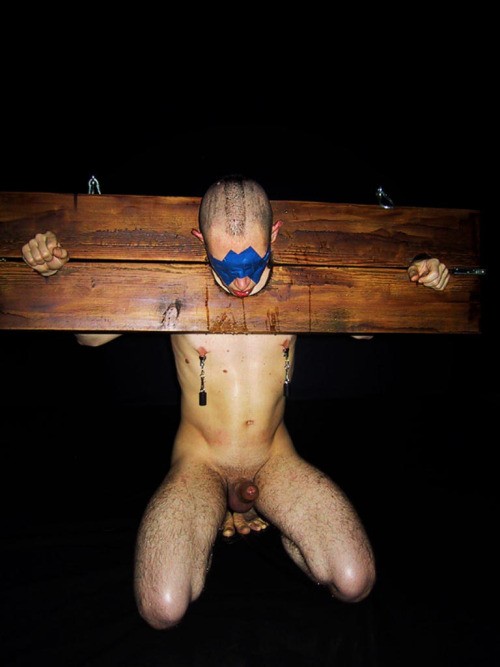 Xtudr - Aprender a bofetadas En este grupo https://www.xtudr.com/grupos/id/1691016 hay mucha sugerencias para atar y dar de hostias a perras pringadas en el campo.