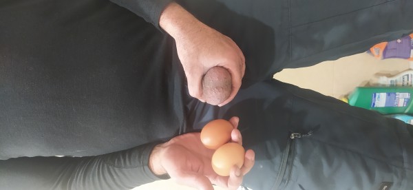 Xtudr - Amantes de los huevos diminutos  