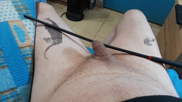 Xtudr - Amantes de los huevos diminutos  