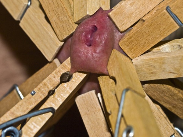 Xtudr - AMOS Duros y sádicos En este Grupo https://www.xtudr.com/grupos/id/1691016 hay muchas sugerencias para atar en el campo a perras que están deseando ser torturadas con técnicas inimaginables...