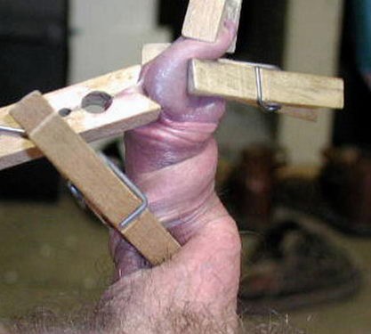 Xtudr - Puñetazos y patadas En este Grupo https://www.xtudr.com/grupos/id/1691016 hay muchas sugerencias para atar en el campo a perras sumisas y darles de patadas, palos y puñetazos mientras que sufren con pinzas en el cuerpo y en zonas sensibles...