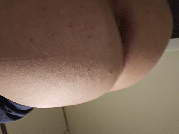 Xtudr - MACHOS PARA HEMBRAS 