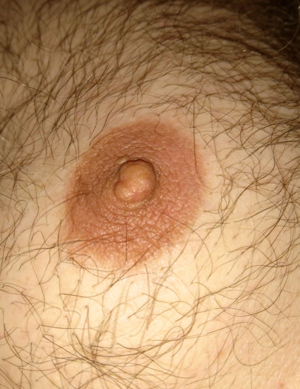 Xtudr - PEZONES SUCCION  DESARROLLADORES SUJETADORES AZOTES  