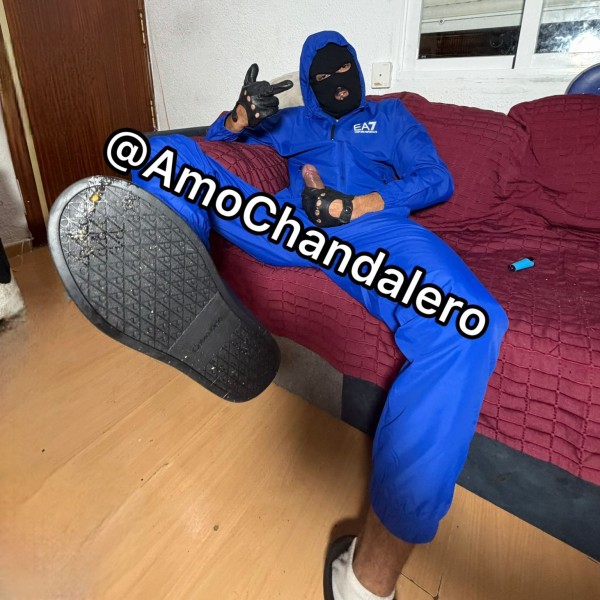 Xtudr - Humillacion Perritas de Madrid para sodomizarlas?