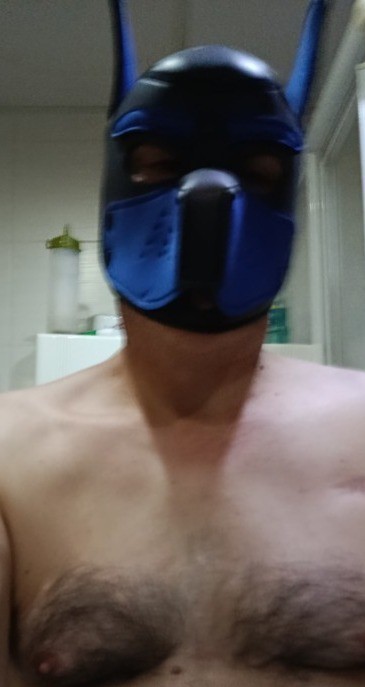 Xtudr - amantes del dogtraining Algún Amo en Badajoz o cerca, puedo desplazarme que quiera adiestrar un puppy esclavo?