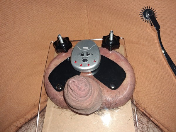 Xtudr - CBT en Granada Nuevo juguete