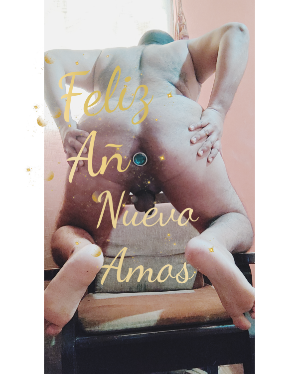 Xtudr - Castigos para el Perro  