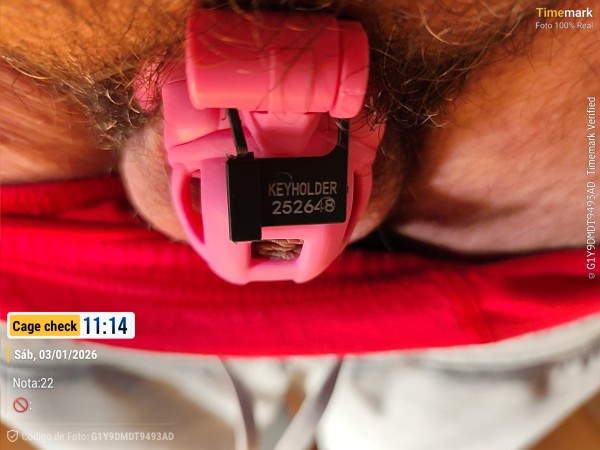 Xtudr - Jaulas de castidad Estrenando jaula