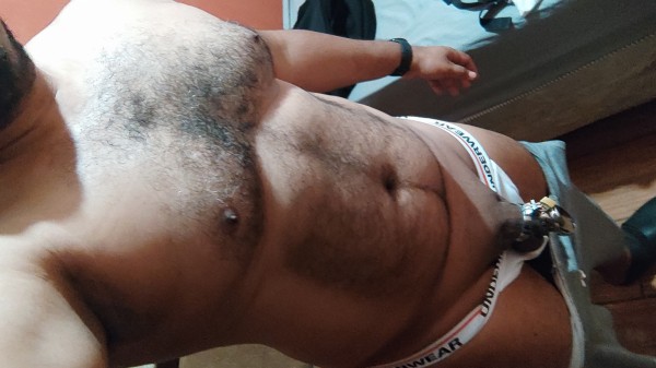 Xtudr - Jaulas de castidad 