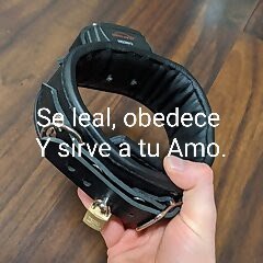 Xtudr - Esclavos sin dueño en busca...  EN ESPAÑA 🇪🇸 , ASTURIAS QUIERO esclavos, domésticos, putitos, ... SÓLO PARA SERVICIO REAL, EN PROPIEDAD Y QUE LO TENGAN CLARO.