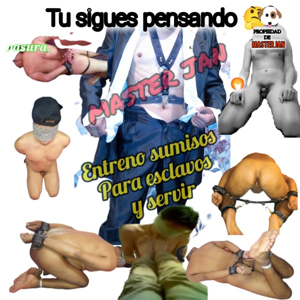 Xtudr - Amos Españoles en Ciudad de Mexico Busco perros, esclavos, novatos para humillar, entrenar sin límites, hasta hacerlos animales de servicio Si son de clóset mejor.
Hacerlo mis perros fijos