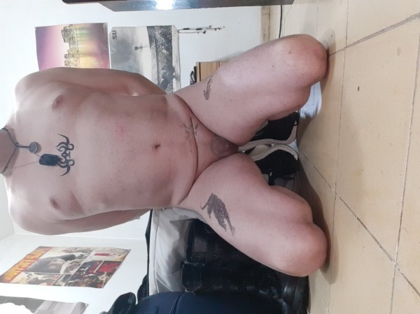 Xtudr - Castigos para el Perro  