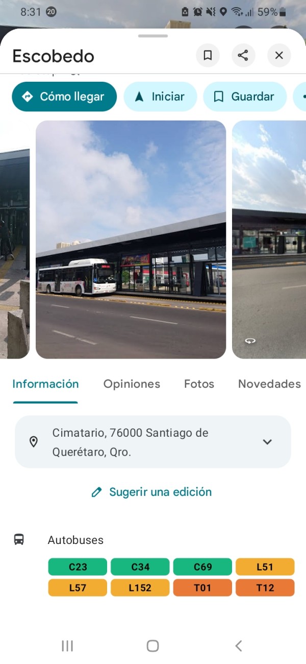 Xtudr - Para amos guarros y cerdos Tengo 16 busco un amo de queretaro (balvanera fuentes)(el pueblito)(los angeles)