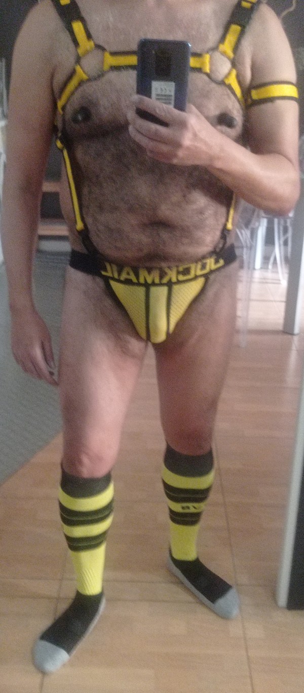 Xtudr - Cerdakos 100% Busco puercos para olerles. Huevos, rabos, sobacos...rekeson...meos...lefa. Recibo olor y puedo dar