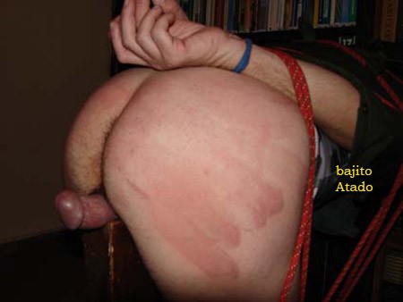 Xtudr - Bondage españa Busco colega  AMO o DOMINANTE jovencito  bajito, brutito, fibrao y cabrón que le guste atar, torturar e idear tormentos. En Madrid.