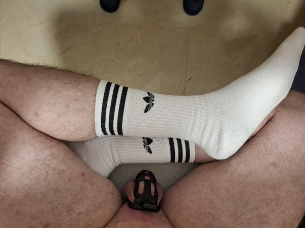 Xtudr - Exxxpose.me Me tienen enjaulado, me obligan a ponerme aquí para que todo el mundo vea mi ridícula polla enjaulada, y me escriban para humillarme.