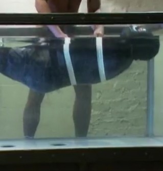 Xtudr - Humillacion Quieres probar?