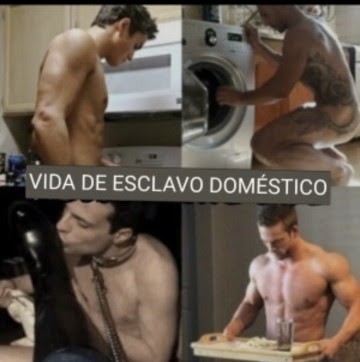 Xtudr - esclavos domésticos  EN ESPAÑA 🇪🇸 ,

ASTURIAS QUIERO esclavos, domésticos, putitos, ... SÓLO PARA SERVICIO REAL, EN PROPIEDAD Y QUE LO TENGAN CLARO.

EN PROPIEDAD ! !