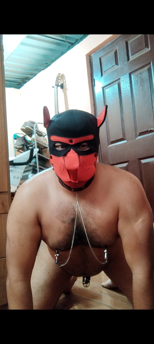 Xtudr - Amos Blancos Españoles / esclavos latinos  