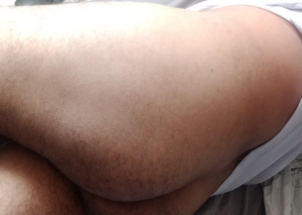 Xtudr - competencia de perras 