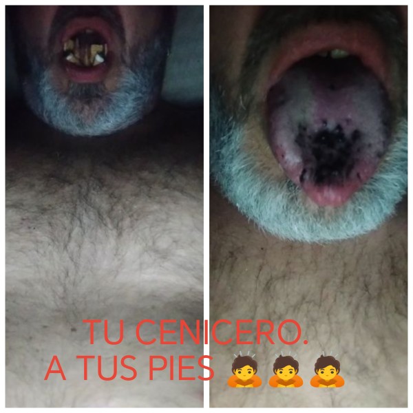 Xtudr - The Smoking Dungeon Bola de grasa y escoria humana busca machos de verdad de los que no le importan darme un par de hostias por ser marica y gordo. Eso busco machos de verdad que me traten como a su zorra y me peguen. Qué se sienten y yo de rodillas contemplando el cubo de basura que es mi boca para recibir de todo hasta vuestras colillas y puros para que sea vuestro cenicero humano. A sus pies siempre en la provincia de Alicante. Si están en la provincia de Alicante manden privados y seré su cenicero humano personal.
a sus pies siempre para que me humillen y me traten como lo que soy una basura con patas.