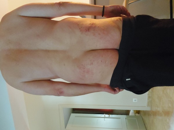 Xtudr - Haz conmigo lo que quieras soy masoka, mucho, masoka con pocos limites material y sitio en Horta busco a Macho kabron que me use y torture ahora para su placer; recibo de rodillas, cinturon de castidad, pinzas en pezones
