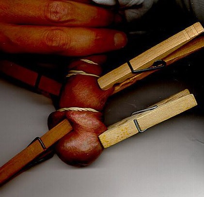 Xtudr - BDSM NEL KAMPO 131.- Los juegos NEL KAMPO llevados a cabo con un dominante kabrón, tienen habitualemnet mucho morbo para las perras sumisas que caen en sus manos. Un dominante kabrón puede hacer casi cualquier cosa con una perra sumisa, más cuando esta se pone a disposición, con enormes ganas de ser torturada, atraída por el morbazo de ser atada y torturada.

Por suerte para kabrones como yo, este tipo de perras carecen por lo general de imaginación y no son capaces de intuir los tormentos a que pueden ser sometidos, jaja. NEL KAMPO hay muchas muchísimas posibilidades partiendo de tormentos habituales, si bien cuando se unes en SINERGIA en medios complejos, se vuelven verdaderas torturas que, utilizadas en un rato largo pueden hacerse casi inaguantables…

Por ejemplo estar atado a un palo con el culo pegado al suelo y llenándote la polla de pinzas puede ser un tormento terrible en un espacio campestre lleno de árboles y arbustos pinchudos, zarzales y rosales silvetres, en fechas anteriores a un 25 de julio en los montes de la Sierra de Guadarrama, en Madrid o Castilla y León. Y todo eso lo se porque lo he hecho muchas veces…

Un pene y una polla como los de la imagen pueden permitirla colocación de unas 15 pinzas de madera de las que se usan para tender la ropa. Pero no solo uso esas INOCENTES PINZAS, NO. Si me encuentro un esclavo musculoso y cabrón le puedo torturar con esa pinzas u otras mucho más duras. Que nunca caigas en mis manos si tienes esas características, esclavo, porque LAS PASARÁS PUTAS, y más si me llevo algún AYUDANTE NEGRO jajajajjaja….
