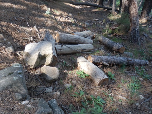 Xtudr - BDSM NEL KAMPO 132.- 
Hace unos días estuve en uno de los parajes que voy a utilizar este verano para hacer BDSM NEL KAMPO. Como es habitual está en una zona de la Sierra de Guadarrama. Esta imagen presenta una fotografía de un camino muy poco utilizado en Agosto y por el que suelo llevar a perras sumisas bien atadas y en ocasiones descalzas dándole de bofetadas o, si voy con un ayudante, tirándole de las orejas con los ojos tapados. 

Jajjajajjaj por supuesto llevará una mochila con el material que usaremos para torturarla, con las pelotas embridadas, el cipote bien atado e incluso lleno de pinzas prietas por los gayumbos que llevará puestos. El camino no tiene nada de particular pero está lleno de escalones que la perra subirá y bajará cargando con lo que decidamos ponerle así como las posturas que le haremos adoptar mucho antes de torturarla atada a un palo cada vez que lo hagamos, ya que es muy posible que la atemos varias veces, en posiciones cada vez más complicadas y dolorosas…

En este sentido ya estoy elaborando los amarres que voy a usar con los diferentes tipos de perras que torturaré este año, pero en casi todas las que ya tengo medio apalabradas siempre habrá AMARRE AL PALO al estilo indio de las praderas con la consabida tortura del cipote y las pelotas atados a los pezones, mientras yo mismo y uno o dos ayudantes les torturen con amarres duros aquellas partes del cuerpo que resulten más duras y dolorosas para las perras y más divertidas para los cabrones dominantes… 
