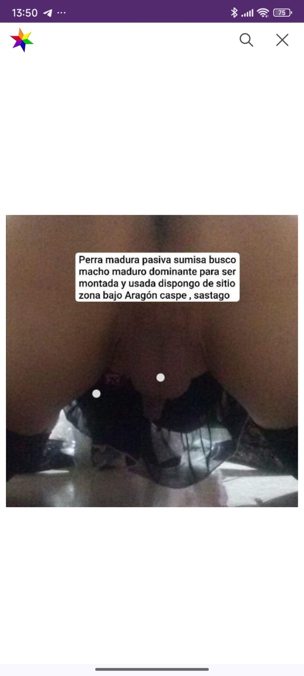 Xtudr - pantys bragas tangasXmacho que me las rompa,yo su puta Busco amo maduro Zaragoza 