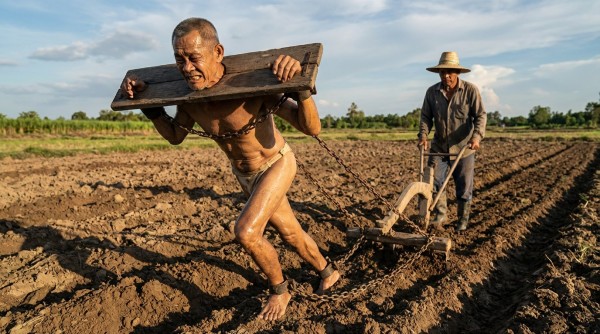 Xtudr - Fantasia extrema  Mi fantasía es encontrar un Amo que tenga un rancho o tierras, y pasar un mes desnudo y en castidad, trabajando en el campo de solo a sol, castigado con látigo. Durmiendo en un corral, encadenado para que no escape. Como un auténtico esclavo laboral. 