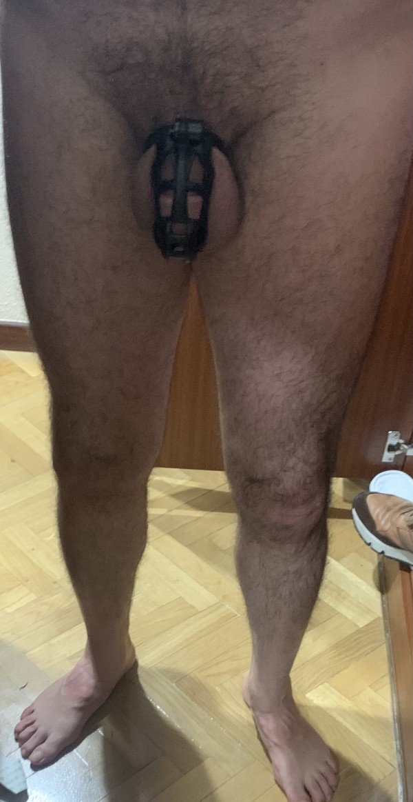 Xtudr - cinturon de castidad 