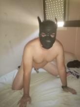 Xtudr - NIÑATOS BUSCAN MACHO MADURO busco amo k m ponga cam cbt remota i plug para stremear