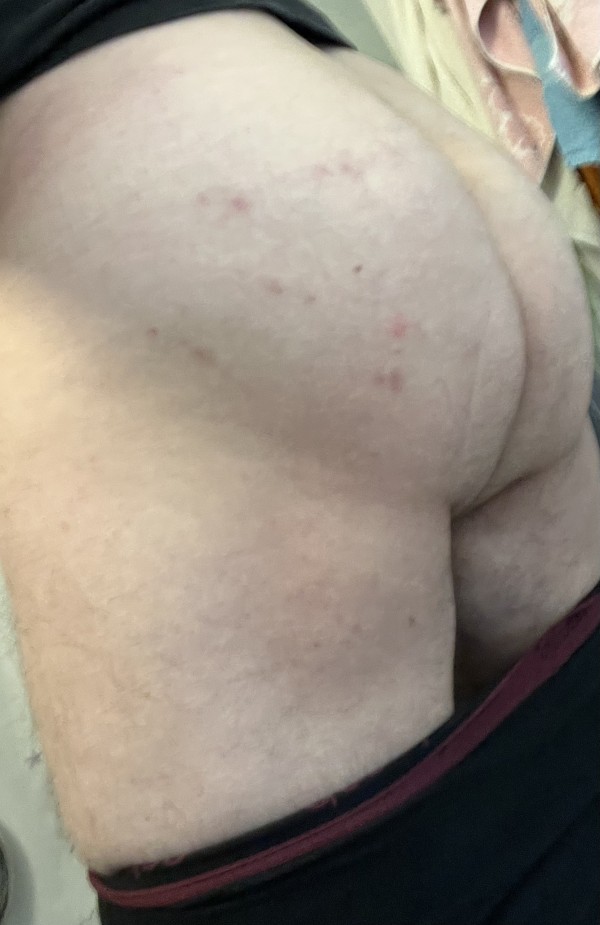 Xtudr - Zurras en Barcelona Hola soy hombre de 37 años, de Barcelona y hetero por lo que solo busco alguien que me ayude a ser más responsable, que me baje el pantalón hasta los tobillos, el calzoncillo me lo baje de un tirón hasta medio muslo, me tumbe encima sus rodillas y con la mano me dejé el culo bien caliente y rojo como un tomate y me riña por los malos hábito que tengo.
( No dispongo de sitio actualmente)