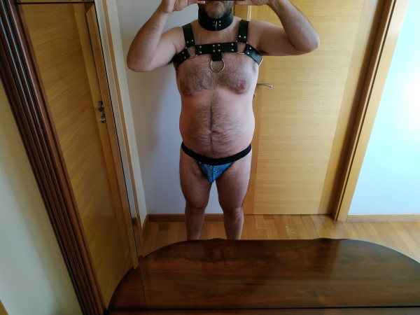 Xtudr - Arneses y chalecos leather 