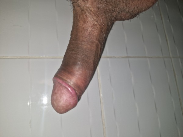 Xtudr - Foto-polla Quien se la come 