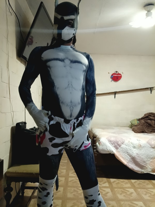 Xtudr - DogTraining México Me sentí sexi, como un buen chico uwu 