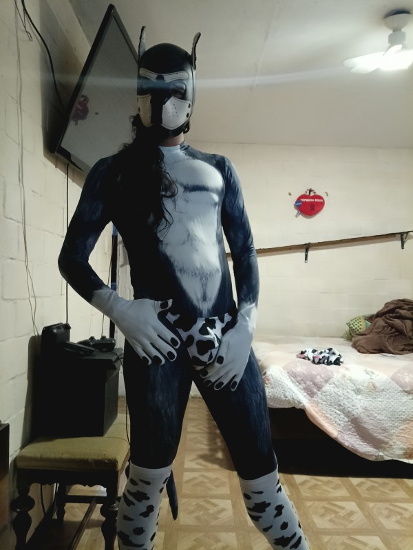 Xtudr - DogTraining México 