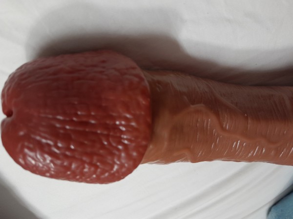Xtudr - Anal Training  