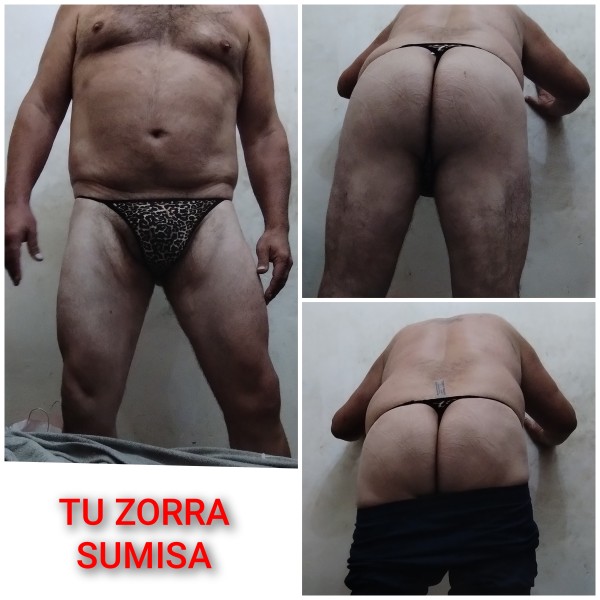 Xtudr - camioneros buscan zorras travestis por toda España y viceversa Busco machos camioneros que deseen usarme por zorra y marica. Si pasa por Villena Alicante y desea tener su zorra para que le sirva a usted y a sus amigos camioneros, en un ropa interior femenina (si lo desea)  para que me viole como una zorra gorda maricona que soy.