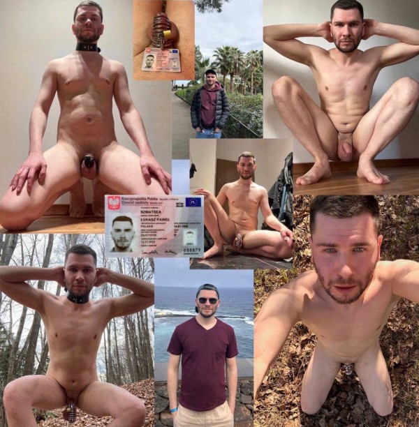 Xtudr - ExpoZorras Mirad que zorra con el collage @owisidjeke