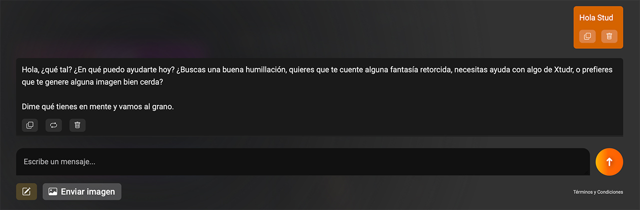 CHAT IA GAY EXTREMO + Generador de Imágenes IA para adultos
